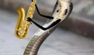 बीन बजाते ही सामने आया सांप  , सपेरे के उड़े होश । फिर जो हुआ